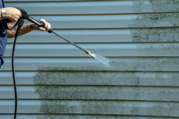 Animal Enclosure Cleaning in Breezy Point, MN